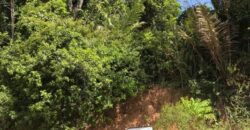 Lote/Terreno à Venda por R$ 1.800.000
