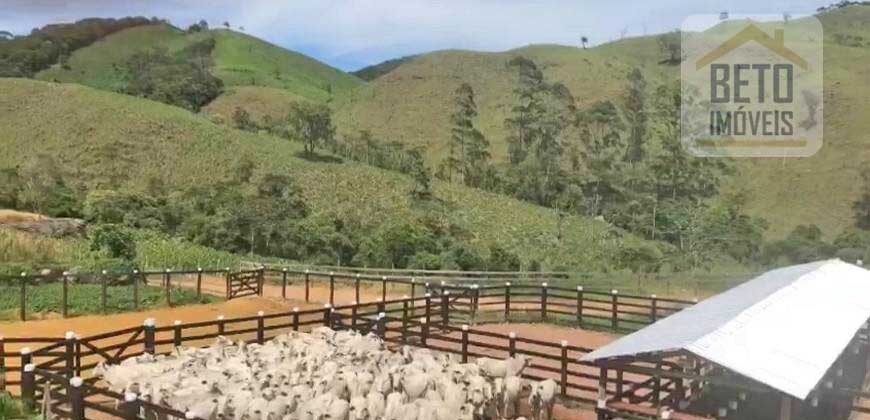 Fazenda/Sítio com 1 Quarto e 2 banheiros à Venda por R$ 8.500.000