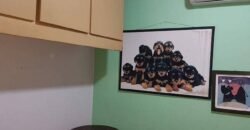 Prédio Residencial à Venda por R$ 450.000