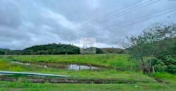 Fazenda 206 alqueires, beirando Rio São João e BR 101 com 2 km
