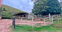 Fazenda 206 alqueires, beirando Rio São João e BR 101 com 2 km