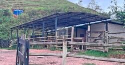 Fazenda 206 alqueires, beirando Rio São João e BR 101 com 2 km