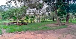 Fazenda 206 alqueires, beirando Rio São João e BR 101 com 2 km