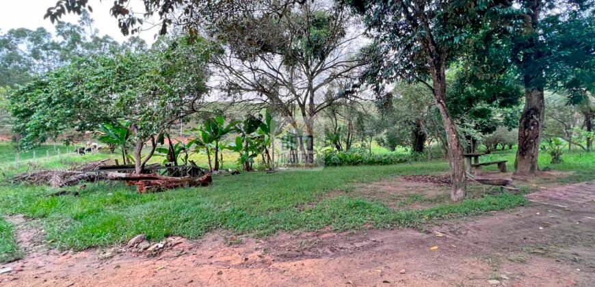 Fazenda 206 alqueires, beirando Rio São João e BR 101 com 2 km