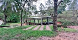 Fazenda 206 alqueires, beirando Rio São João e BR 101 com 2 km