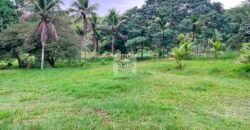 Fazenda 206 alqueires, beirando Rio São João e BR 101 com 2 km