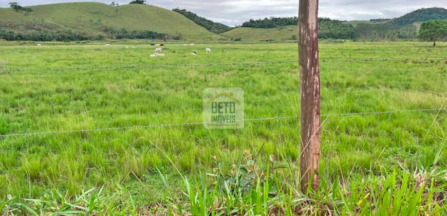 Fazenda 206 alqueires, beirando Rio São João e BR 101 com 2 km