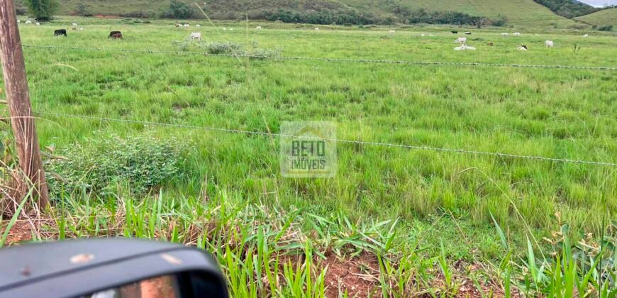 Fazenda 206 alqueires, beirando Rio São João e BR 101 com 2 km