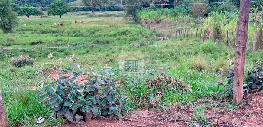 Fazenda 206 alqueires, beirando Rio São João e BR 101 com 2 km