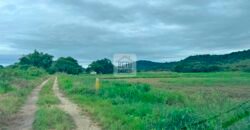 Fazenda 206 alqueires, beirando Rio São João e BR 101 com 2 km