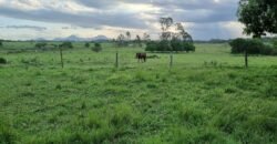 Fazenda/Sítio à Venda, 1120000 m² por R$ 4.500.000
