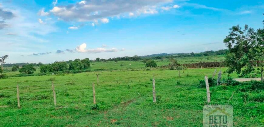 Fazenda/Sítio à Venda, 1120000 m² por R$ 4.500.000