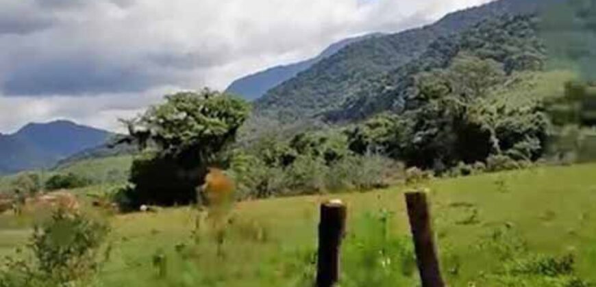 Fazenda c/ 370 alqueires à Venda em Casimiro de Abreu RJ