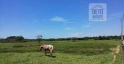 Fazenda com 9 alquieres à Venda em Carapebus RJ