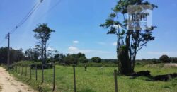 Fazenda com 9 alquieres à Venda em Carapebus RJ