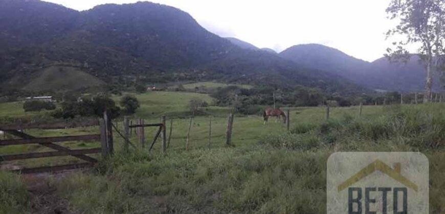 Fazenda/Sítio/Chácara para venda 307 alqueires em Casimiro de Abreu