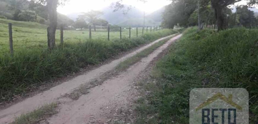 Fazenda/Sítio/Chácara para venda 307 alqueires em Casimiro de Abreu