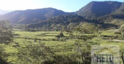 Fazenda/Sítio/Chácara para venda 307 alqueires em Casimiro de Abreu