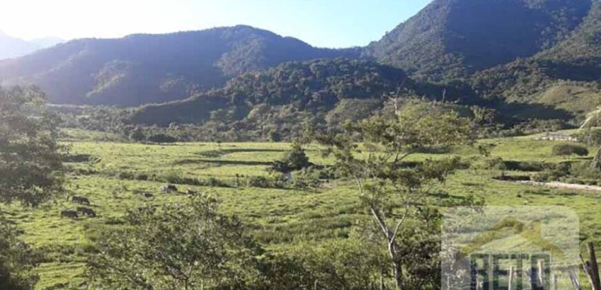 Fazenda/Sítio/Chácara para venda 307 alqueires em Casimiro de Abreu