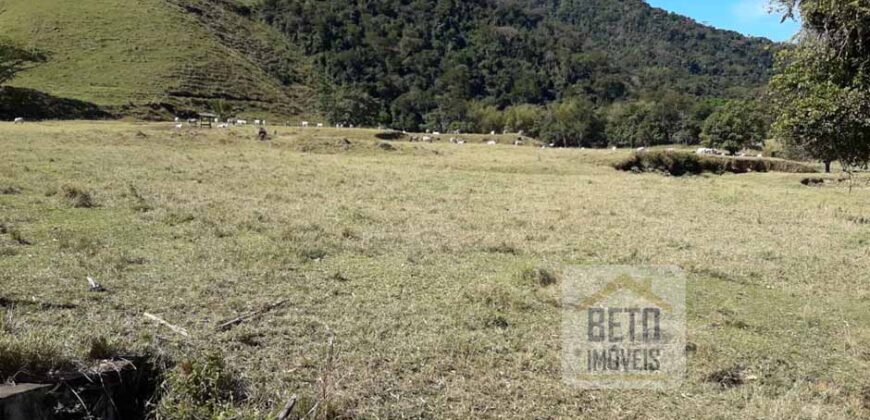 Fazenda/Sítio/Chácara para venda 307 alqueires em Casimiro de Abreu