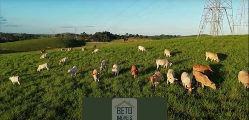 Fazendas/Sítios à Venda em Serrinha/ Campos RJ