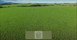 Fazendas/Sítios à Venda em Serrinha/ Campos RJ