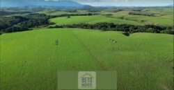 Fazendas/Sítios à Venda em Serrinha/ Campos RJ