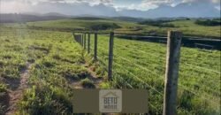 Fazendas/Sítios à Venda em Serrinha/ Campos RJ