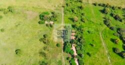 Fazendas c/ 4356 hectares à Venda em Campos dos Goytacazes – RJ
