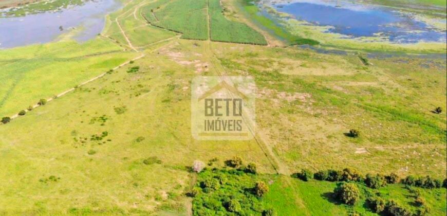 Fazendas c/ 4356 hectares à Venda em Campos dos Goytacazes – RJ