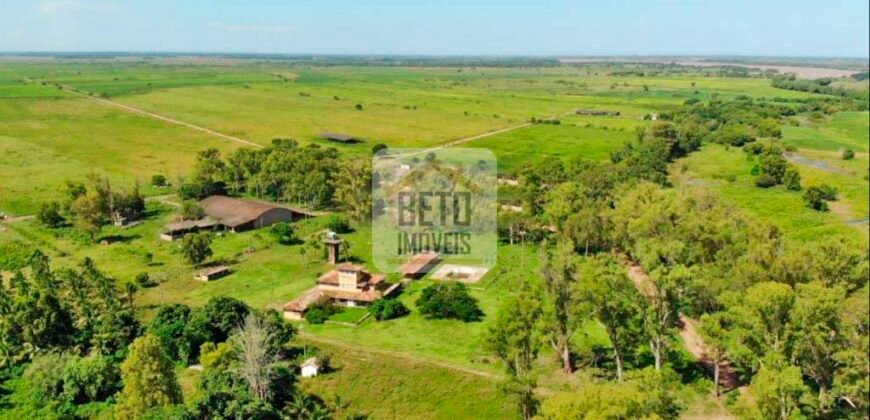 Fazendas c/ 4356 hectares à Venda em Campos dos Goytacazes – RJ