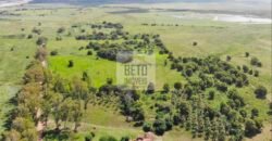 Fazendas c/ 4356 hectares à Venda em Campos dos Goytacazes – RJ