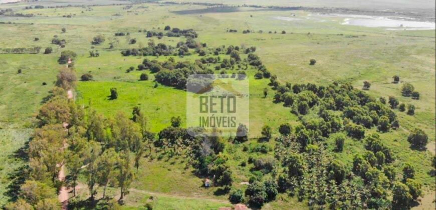 Fazendas c/ 4356 hectares à Venda em Campos dos Goytacazes – RJ