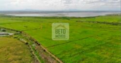 Fazendas c/ 4356 hectares à Venda em Campos dos Goytacazes – RJ