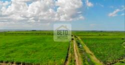 Fazendas c/ 4356 hectares à Venda em Campos dos Goytacazes – RJ