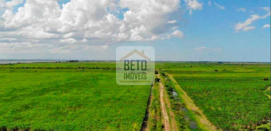 Fazendas c/ 4356 hectares à Venda em Campos dos Goytacazes – RJ