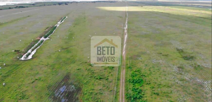 Fazendas c/ 4356 hectares à Venda em Campos dos Goytacazes – RJ