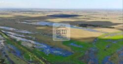 Fazendas c/ 4356 hectares à Venda em Campos dos Goytacazes – RJ