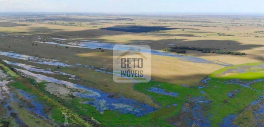 Fazendas c/ 4356 hectares à Venda em Campos dos Goytacazes – RJ