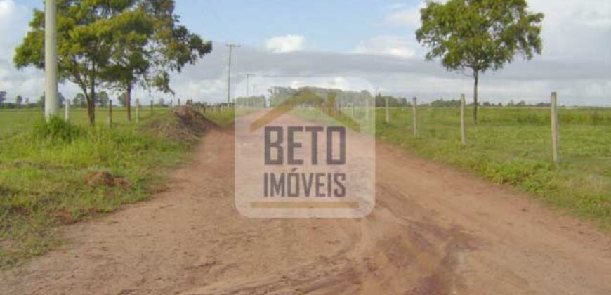 Fazendas c/ 4356 hectares à Venda em Campos dos Goytacazes – RJ