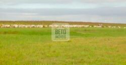 Fazendas c/ 4356 hectares à Venda em Campos dos Goytacazes – RJ