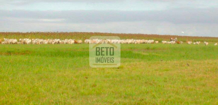 Fazendas c/ 4356 hectares à Venda em Campos dos Goytacazes – RJ