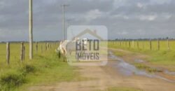 Fazendas c/ 4356 hectares à Venda em Campos dos Goytacazes – RJ