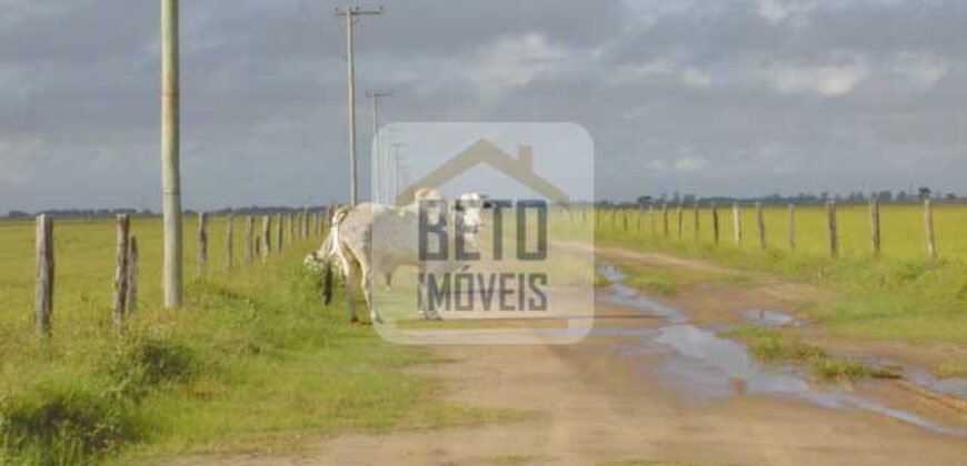Fazendas c/ 4356 hectares à Venda em Campos dos Goytacazes – RJ