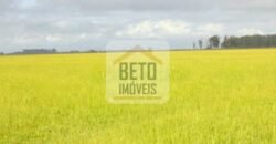 Fazendas c/ 4356 hectares à Venda em Campos dos Goytacazes – RJ