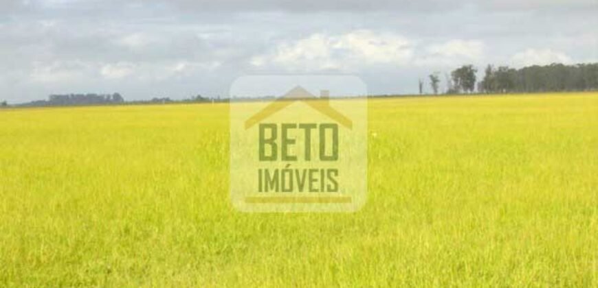 Fazendas c/ 4356 hectares à Venda em Campos dos Goytacazes – RJ