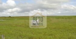 Fazendas c/ 4356 hectares à Venda em Campos dos Goytacazes – RJ