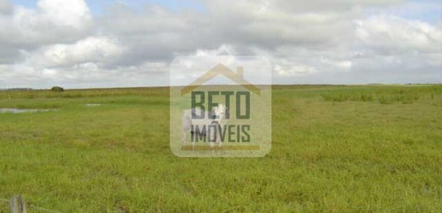 Fazendas c/ 4356 hectares à Venda em Campos dos Goytacazes – RJ