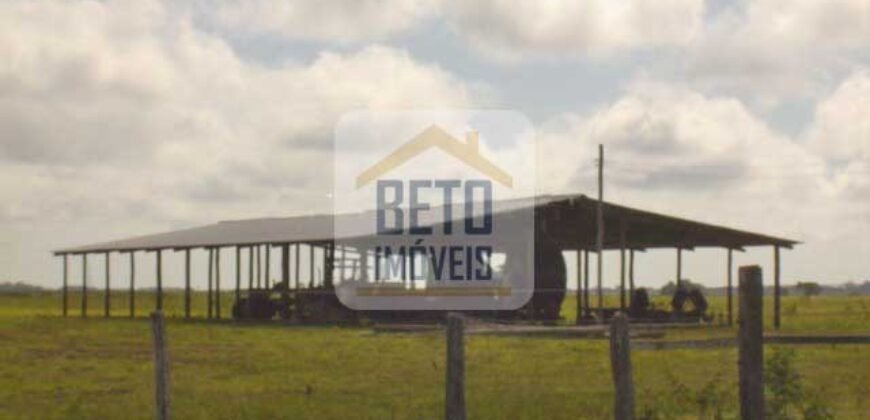 Fazendas c/ 4356 hectares à Venda em Campos dos Goytacazes – RJ