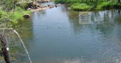 Fazenda São Roque com 96,1 hectares em Gravatal – SC